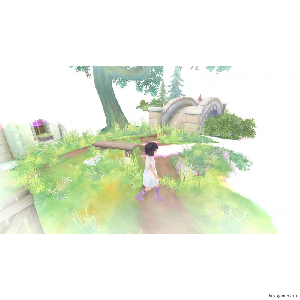 Beyond Eyes