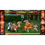 Capcom Beat 'Em Up Bundle / カプコン ベルトアクション コレクション