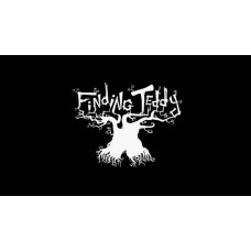 Finding Teddy
