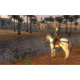 Mount & Blade Collection
