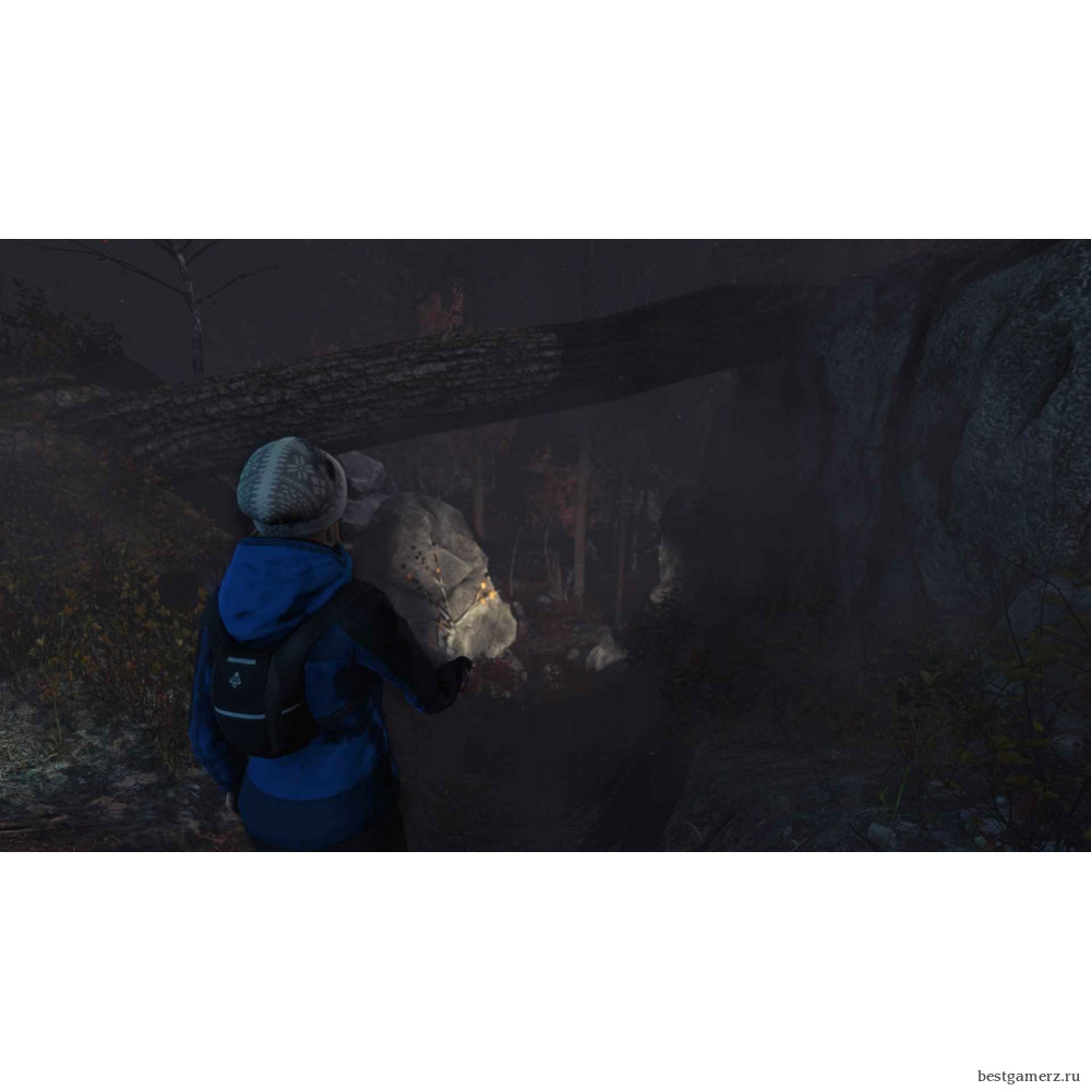 Through the Woods