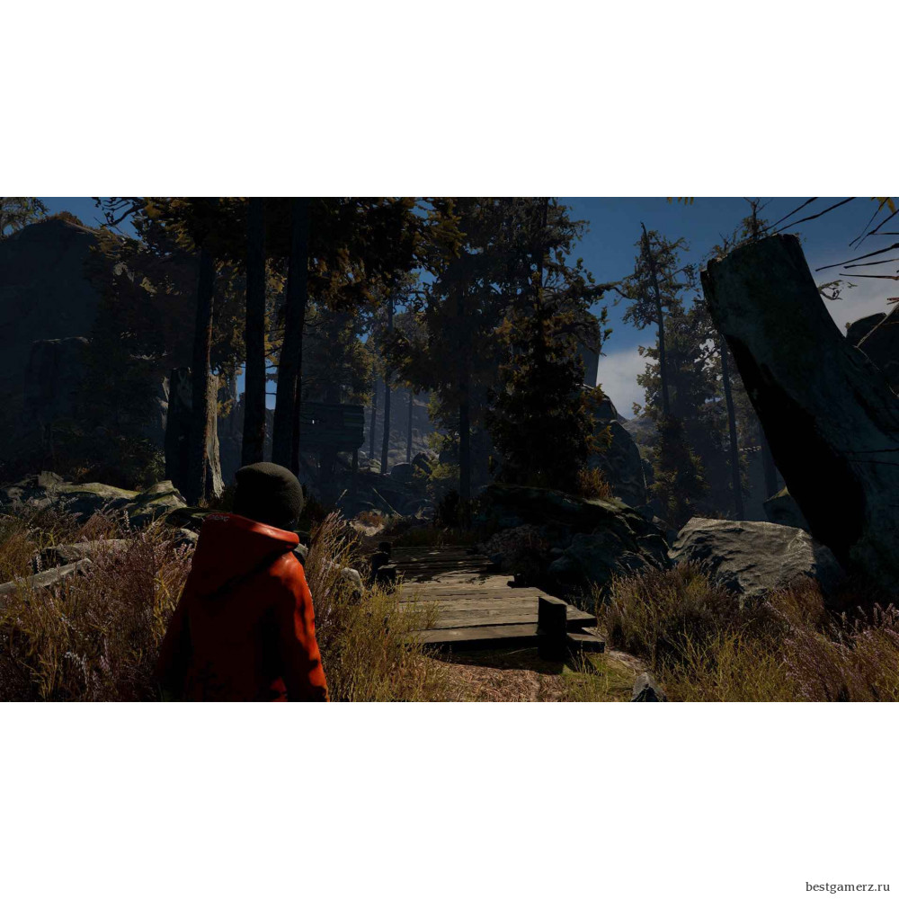 Through the Woods: Collector’s Edition