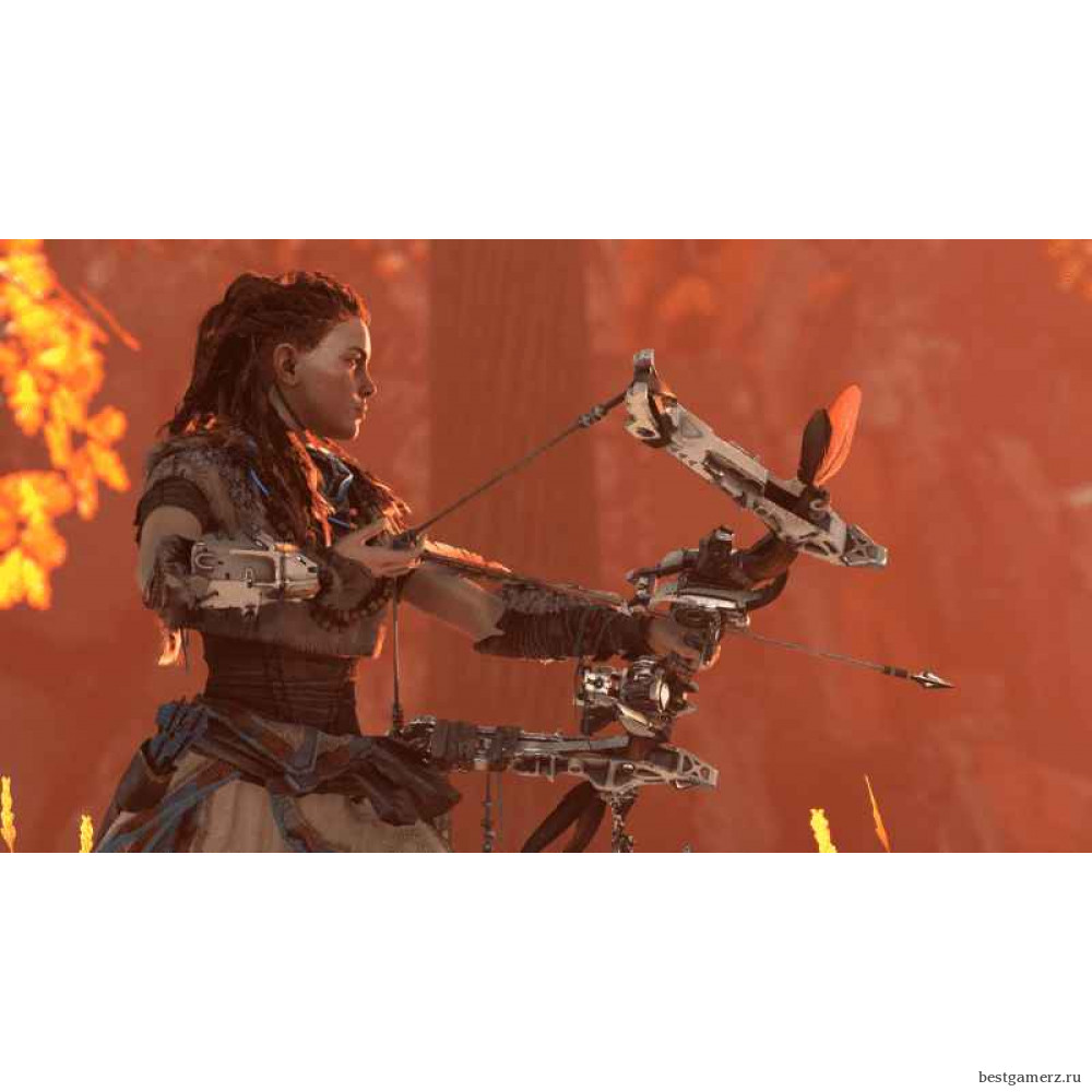 Horizon Zero Dawn 