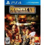 Romance of the Three Kingdoms XIII (13)
