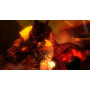Shadow Warrior 