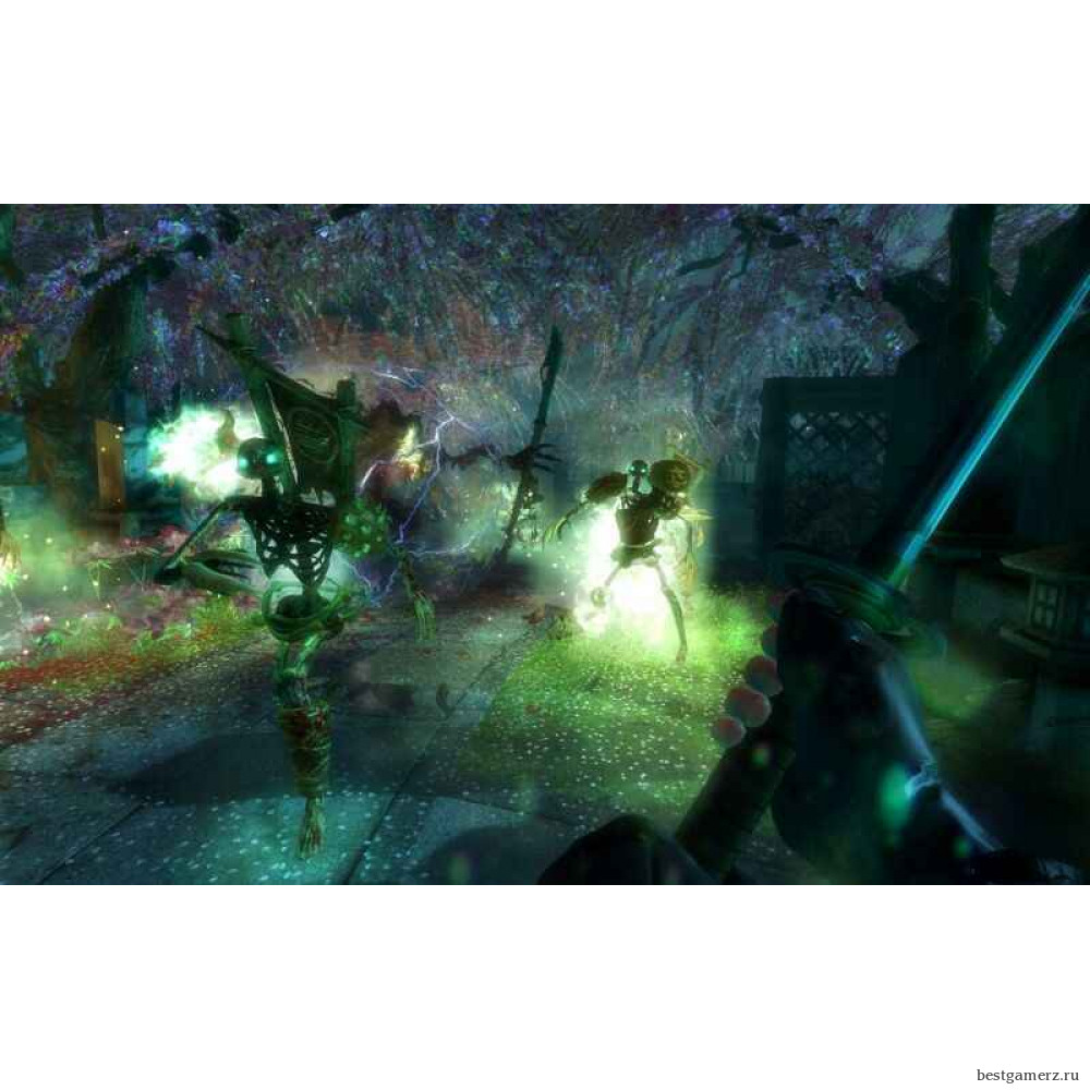 Shadow Warrior Русская Версия 