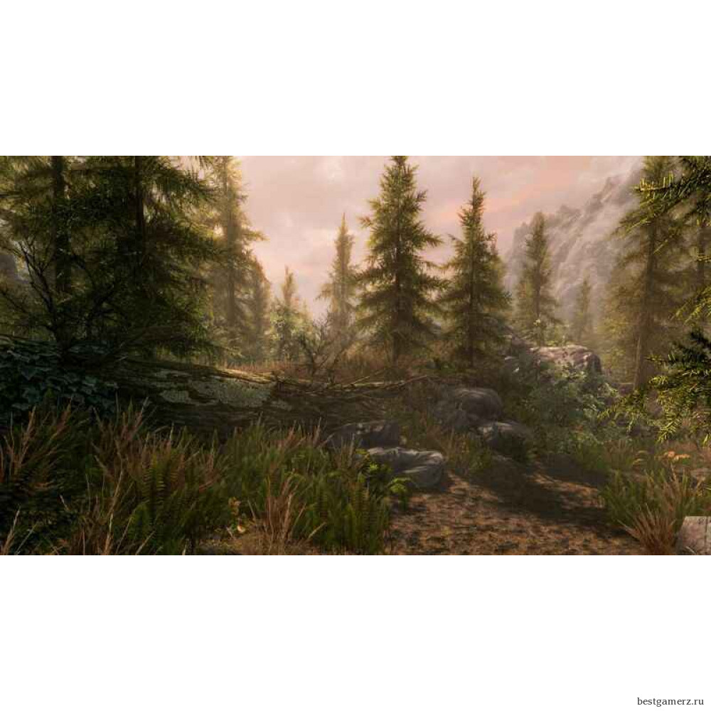 The Elder Scrolls 5 (V): Skyrim VR (только для VR) Русская версия 