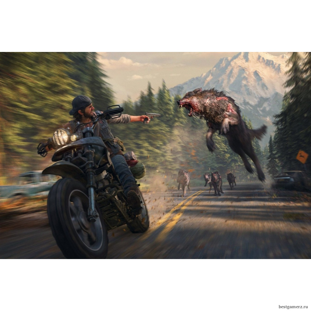 Коллекционное издание Days Gone (Жизнь после). Collector's Edition