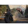 Коллекционное издание Days Gone (Жизнь после). Collector's Edition