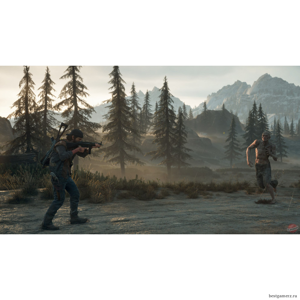 Коллекционное издание Days Gone (Жизнь после). Collector's Edition