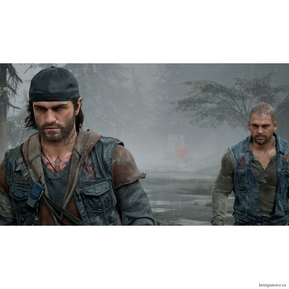 Коллекционное издание Days Gone (Жизнь после). Collector's Edition