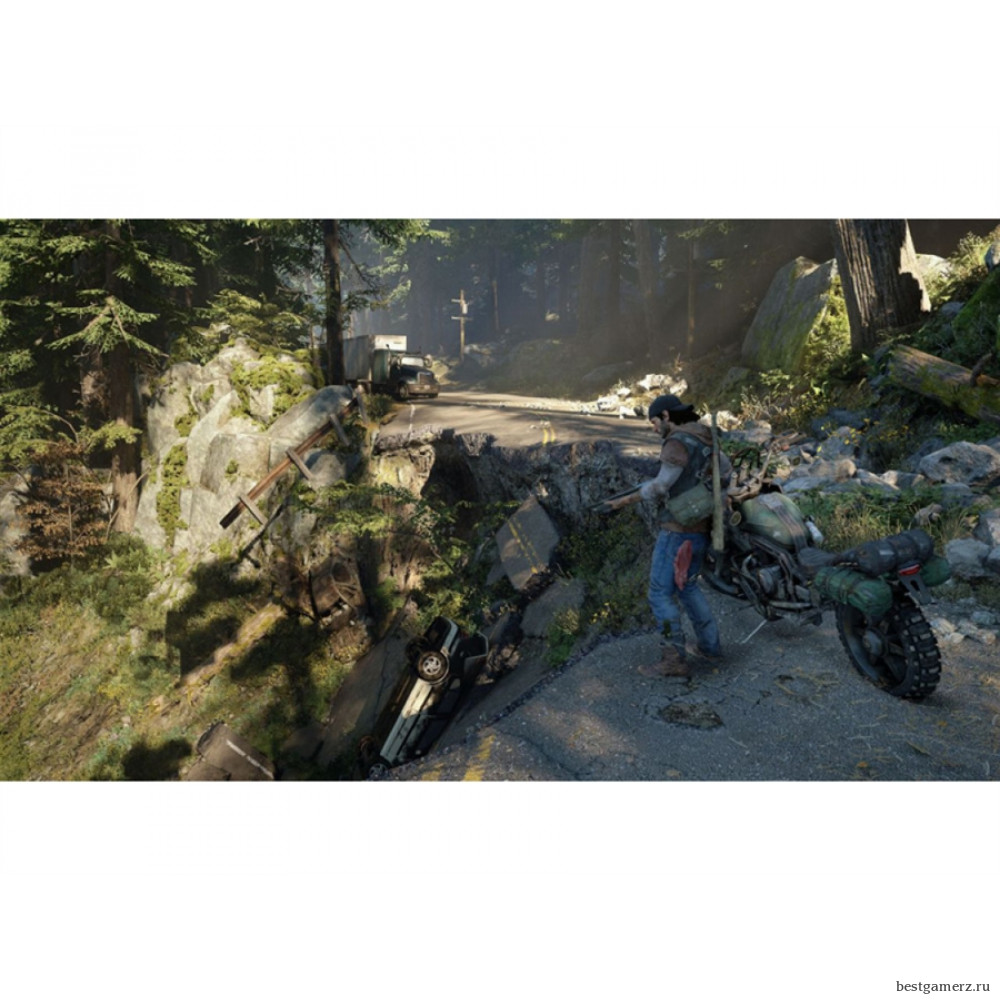 Коллекционное издание Days Gone (Жизнь после). Special Edition