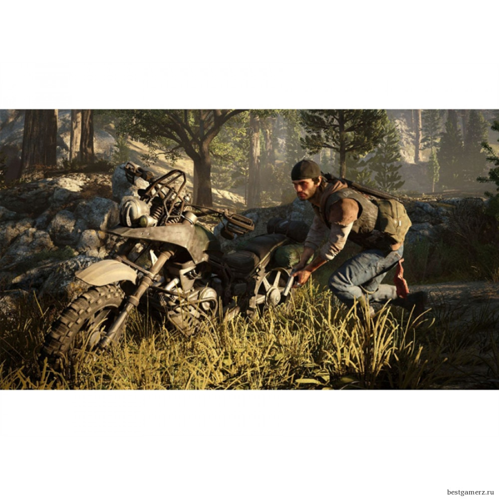 Коллекционное издание Days Gone (Жизнь после). Special Edition